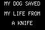 MY DOG SAVED MY LIFE FROM A KNIFE ATTACK