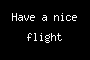Have a nice flight