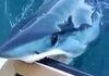 Mako shark is curious about a boat, so it chews it.