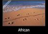 African nudist beach