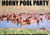 Horny pool party
