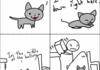 How cats stay entertained
