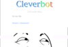 ho clever bot