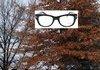 Hipster tree
