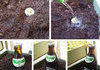 How To Grow a Beer