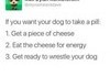 Advice for dog owners
