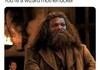 Hagrid L Jackson
