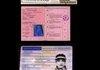 Weird Id Cards and Passport pics