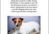 Heh, yay interesting dog facts!