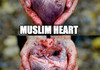 Hearts of the world