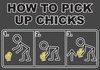 how to pick up chicks