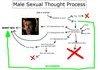 male thought process