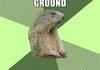 Happy Groundhogs Day
