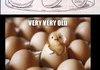 How to know if an egg is fresh
