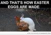 How easter eggs are made.