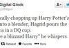 Hagrid saves the day