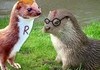 Harry Otter and Ron Weaseley.
