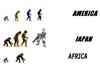 Human Evolution Chart