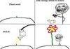 Troll Physics Faster Growing Flowers
