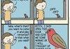 What the Bird Actually Said