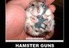 Hamster Guns...
