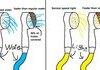 Troll Physics: Shower Head