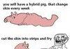 troll physics bacon