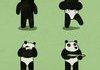 how its made, pandas