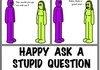 Happy stupid question day