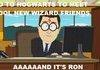 Harry Potter Problems