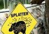 Hippo Splatter Zone