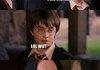 Harry Potter High
