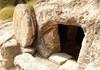 Harambe's tomb found empty in Cincinnati