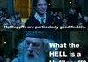 Harry Potter funny
