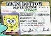Happy Birthday Sponge Bob