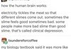 How brains work