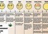 High Assessment Scale