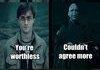 Harry and Voldy