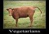 Hey Vegetarians, U mad?