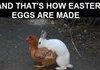 How easter eggs are made.