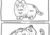 types of cat