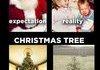 Holiday Expectations vs. Reality Comp