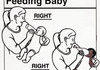 How to Feed Baby