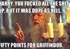 Harry Potter in a nutshell