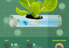 HYDROPONICS: How Does It Work