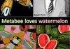 Metabee and Watermelon