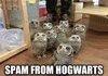 Hogwartz hootmail dot cum