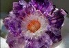 Amethyst Stalactite Flower