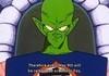 How are you celebrating Piccolo day?
