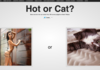 Hot women vs. cats. Very addictive.